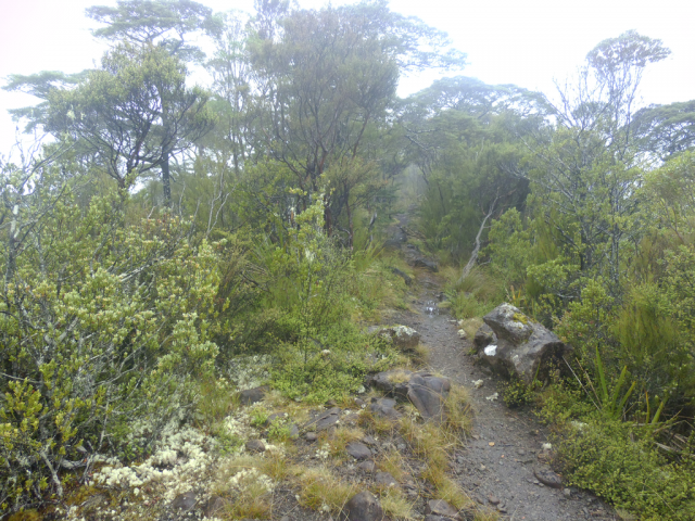 2012-04-27 11.11.45 2012-04-27 11.11.45